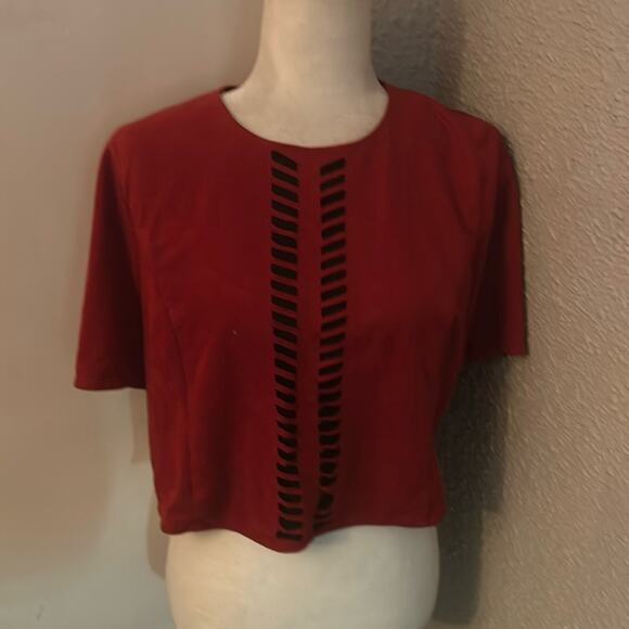 Blush Noir Crimson Faux Suede Crop Top Large Cutout Design Fall Winter Rocker - Picture 1 of 8